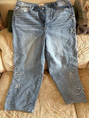 Driftwood Parker Light Blue Embroidered Women’s Jeans